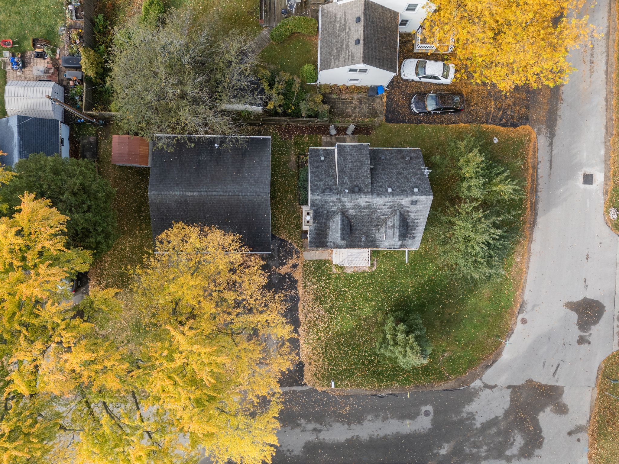 red oak overhead