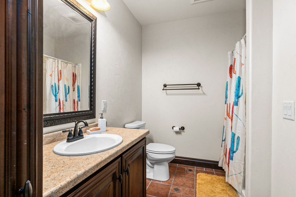 Equestrian lower level bathroom